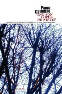 ¿No son copos de nieve?